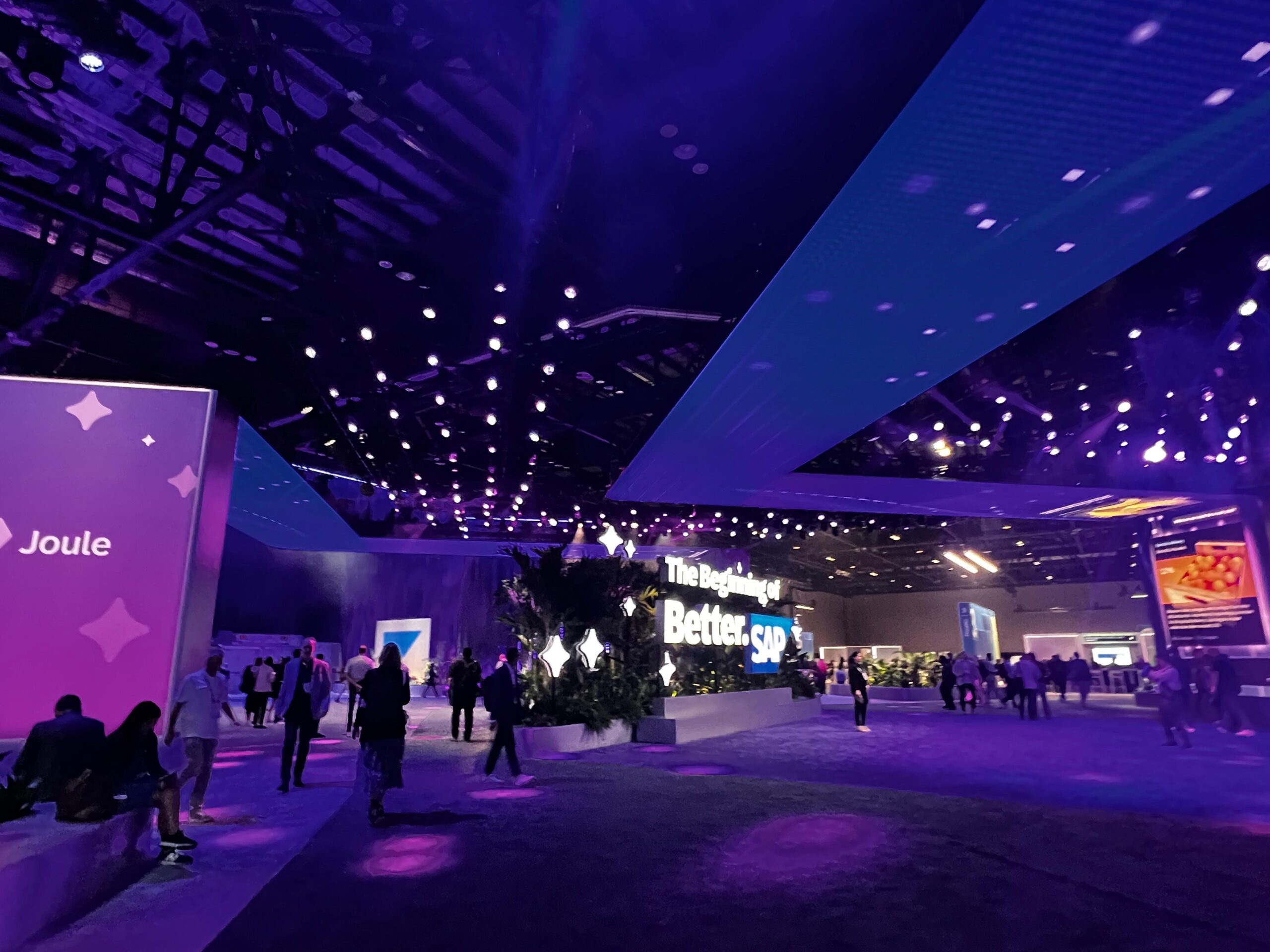 BC SUPPORT SAP Sapphire